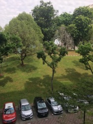 Blk 28 Hoy Fatt Road (Bukit Merah), HDB 2 Rooms #169392642